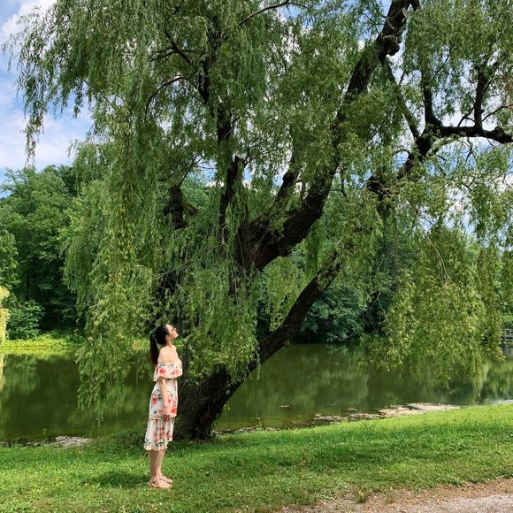 Meet your Posher, Suzanne - Picture 1 of 1